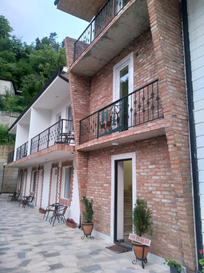 Cristal Hotell Borjomi Eksteriør bilde